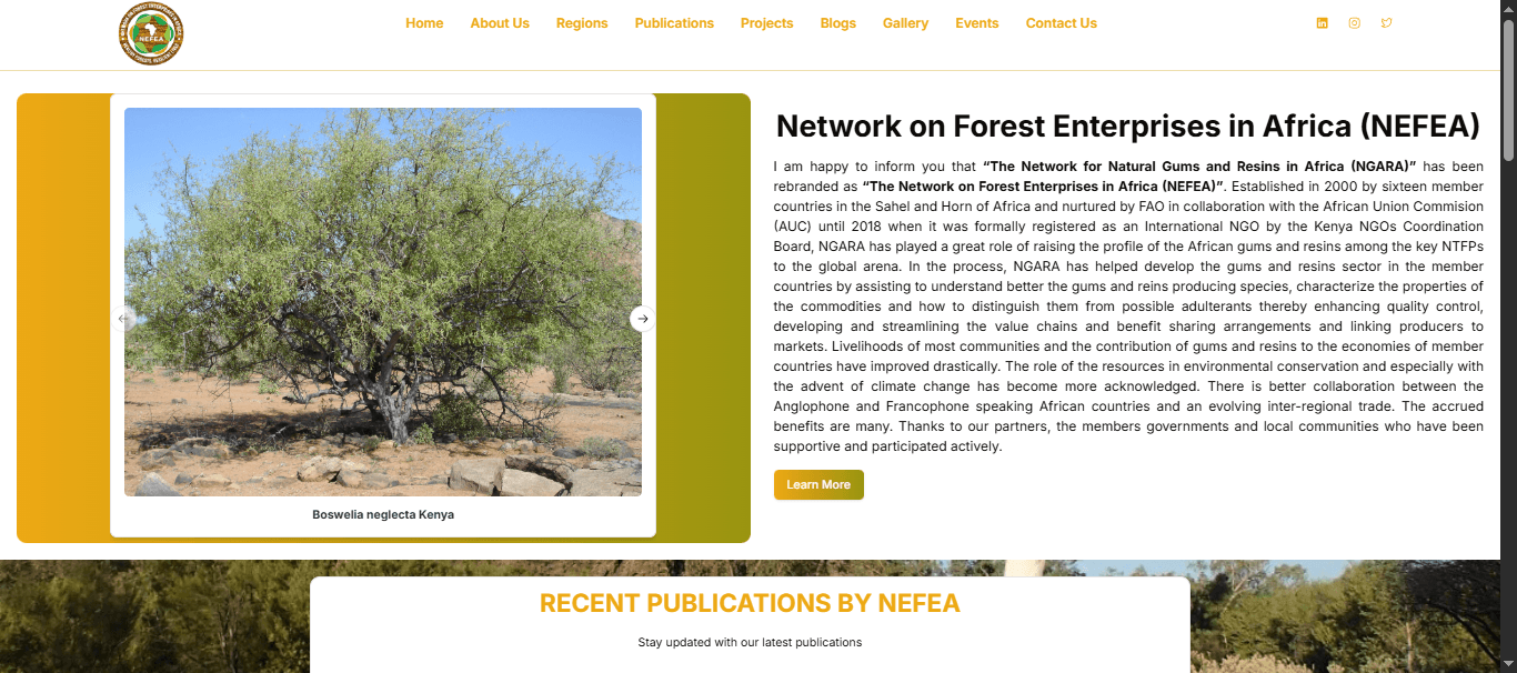 NEFEA – Network on Forest Enterprises in Africa
